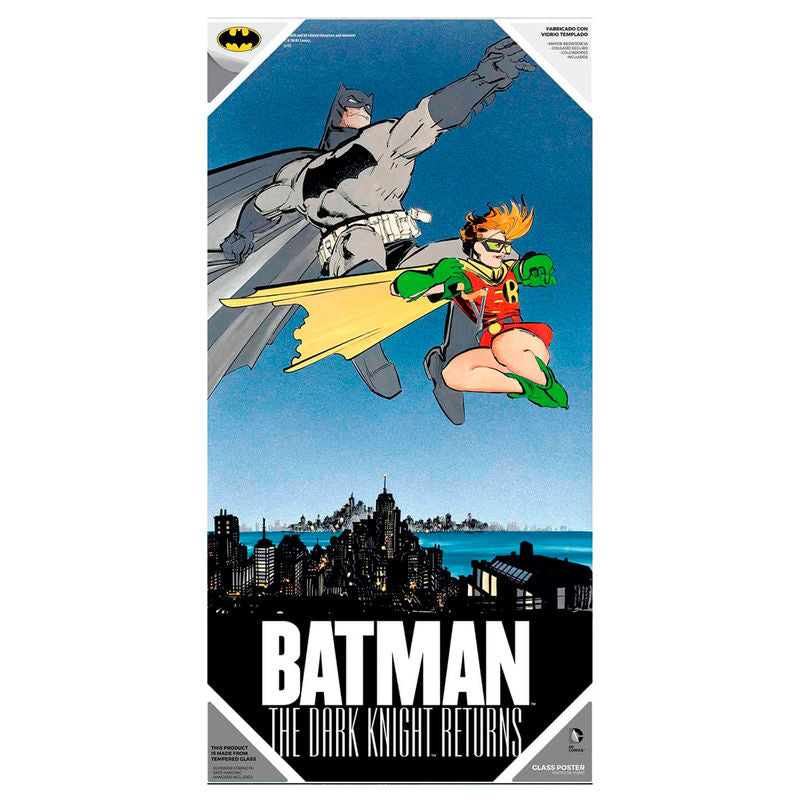batman and robin dc comics glass poster