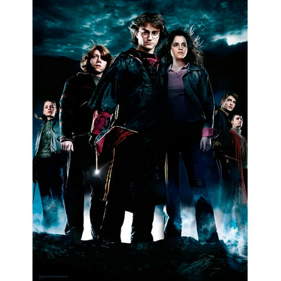 Pôster de vidro do grupo Harry Potter