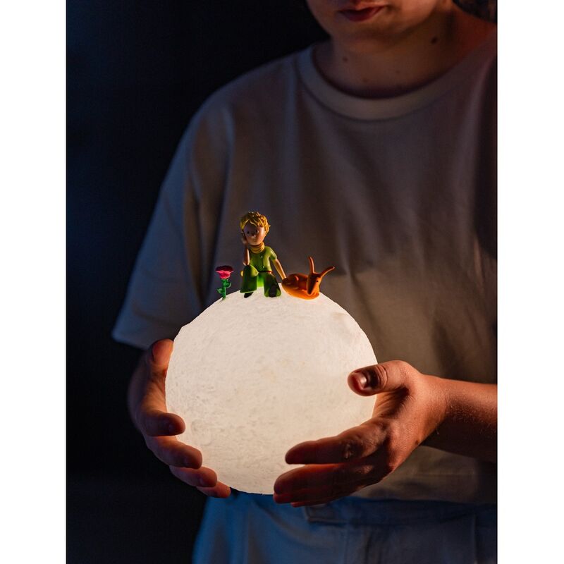 Lampada 3D Il Piccolo Principe