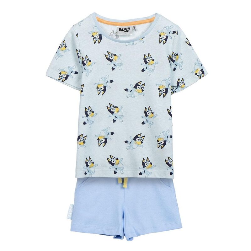 bluey set