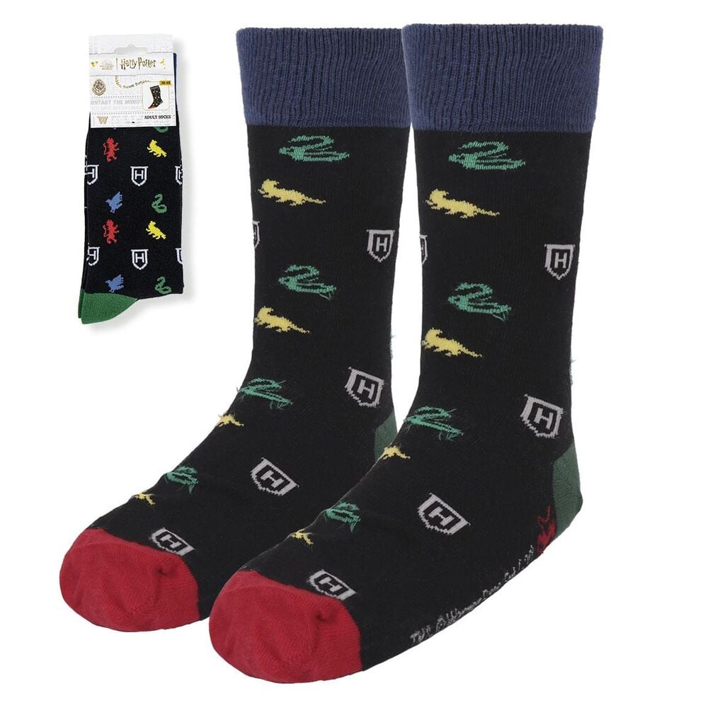 Harry Potter adult sock set