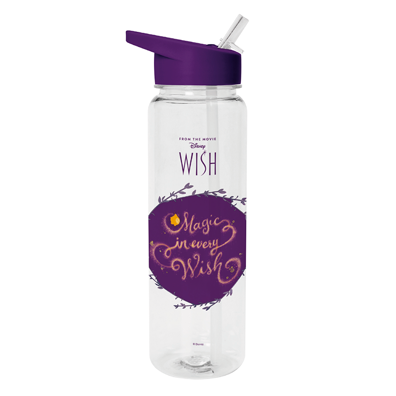 disney wish water bottle 700ml