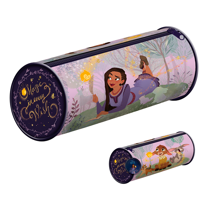 wish disney pencil case