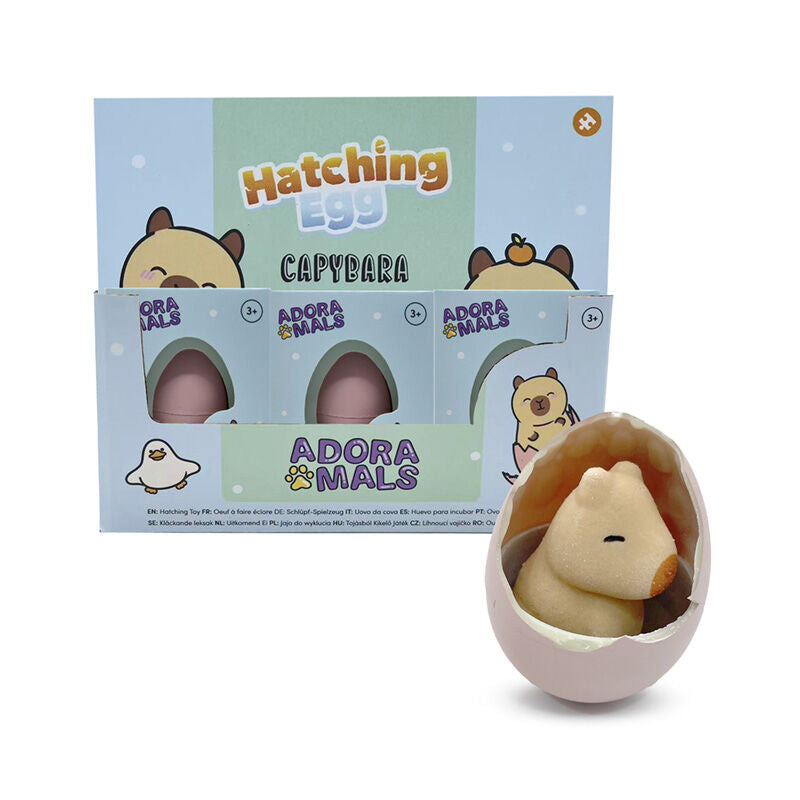 capybara hatching egg assortment