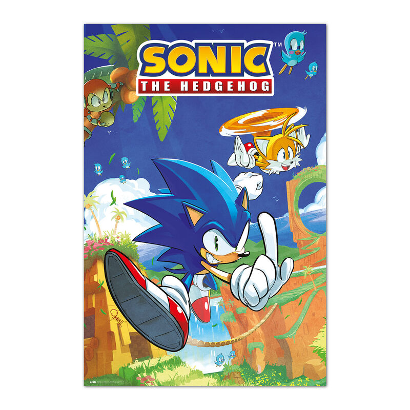 poster sonic & tails sonic the hedgehog