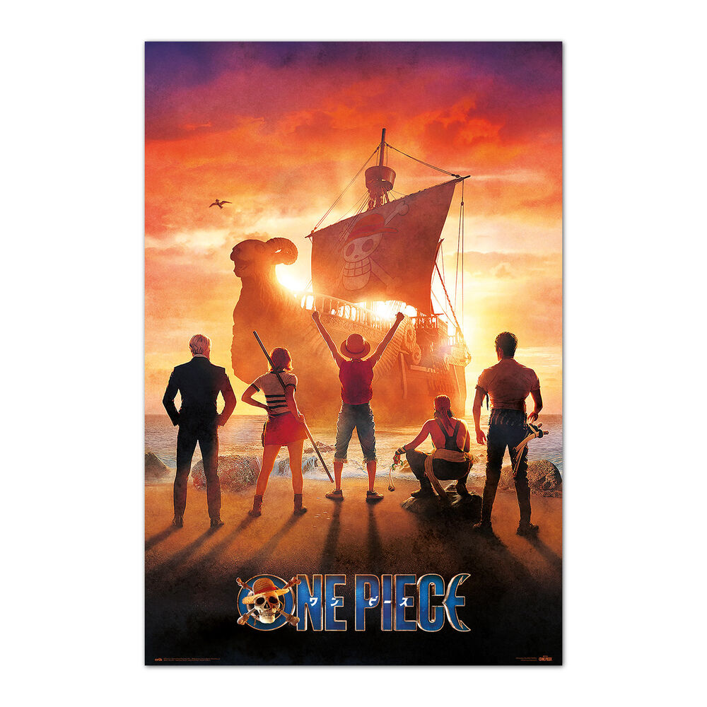 one piece poster