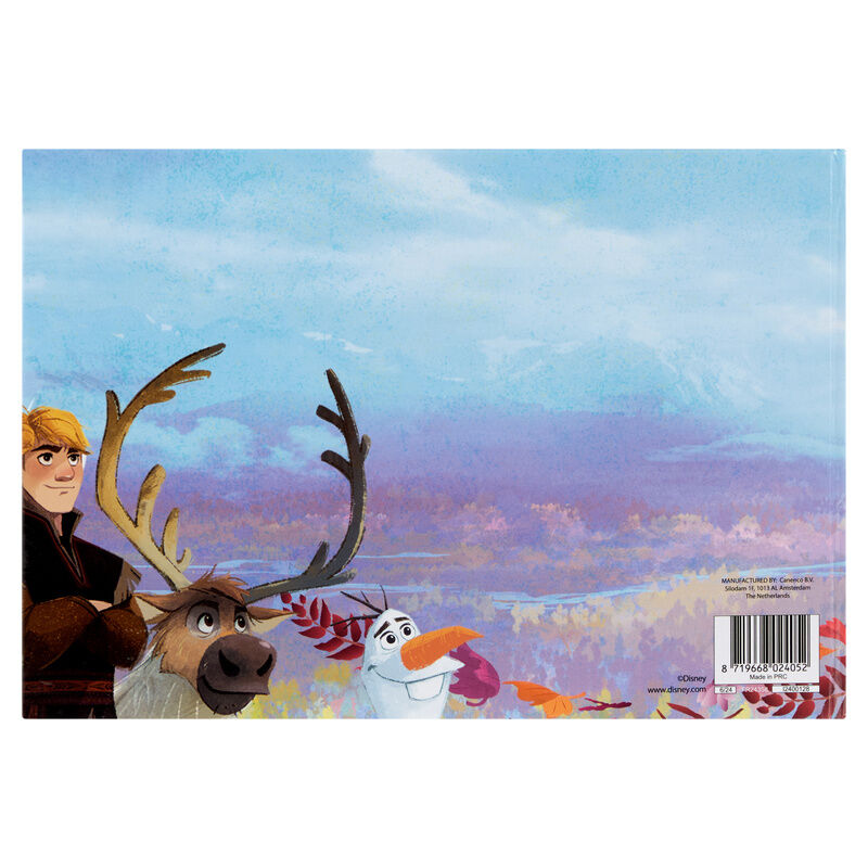 Magnetic book + sticker Frozen Disney