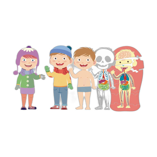 El cuerpo humano