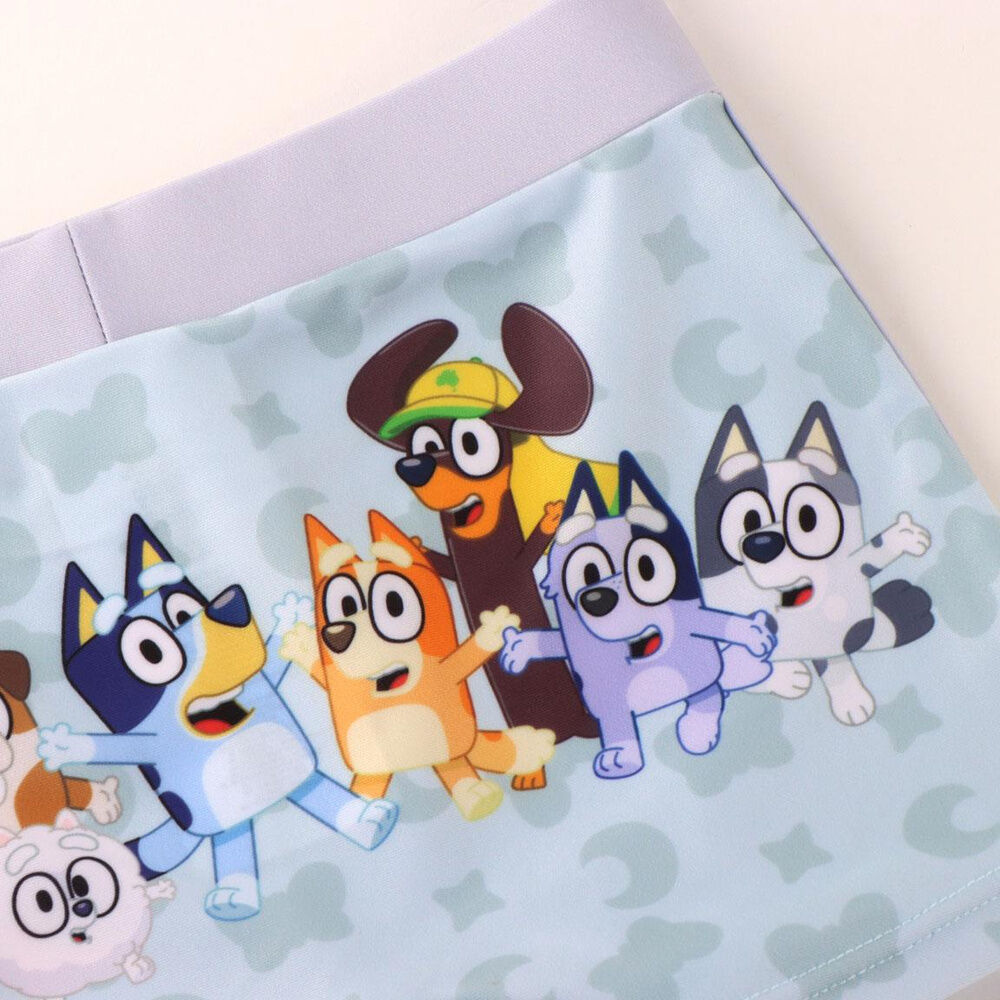 Bluey boxer swimsuit