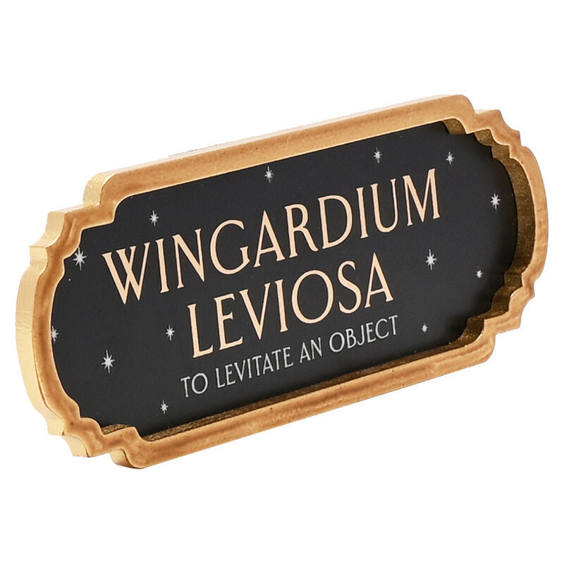 Harry Potter Expelliarmus Poster