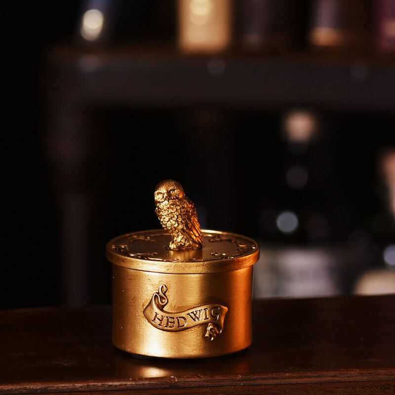 Caixa de joias Hedwig de Harry Potter