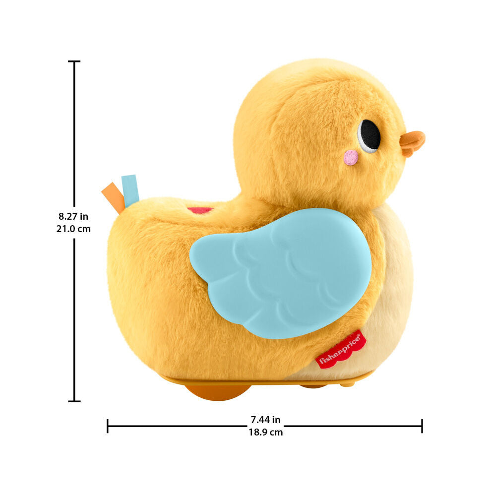 Little duck runs and flaps its wings
