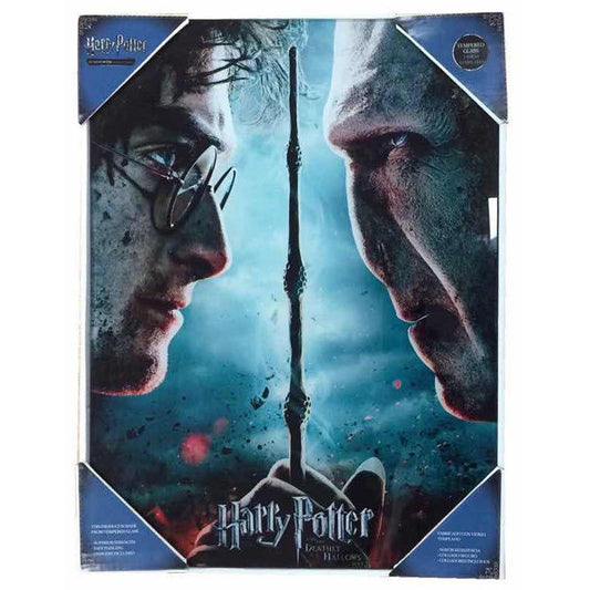 Voldemort vs Harry Potter crystal poster
