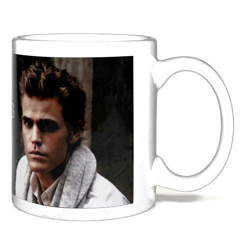 stefan salvatore the vampire diaries mug