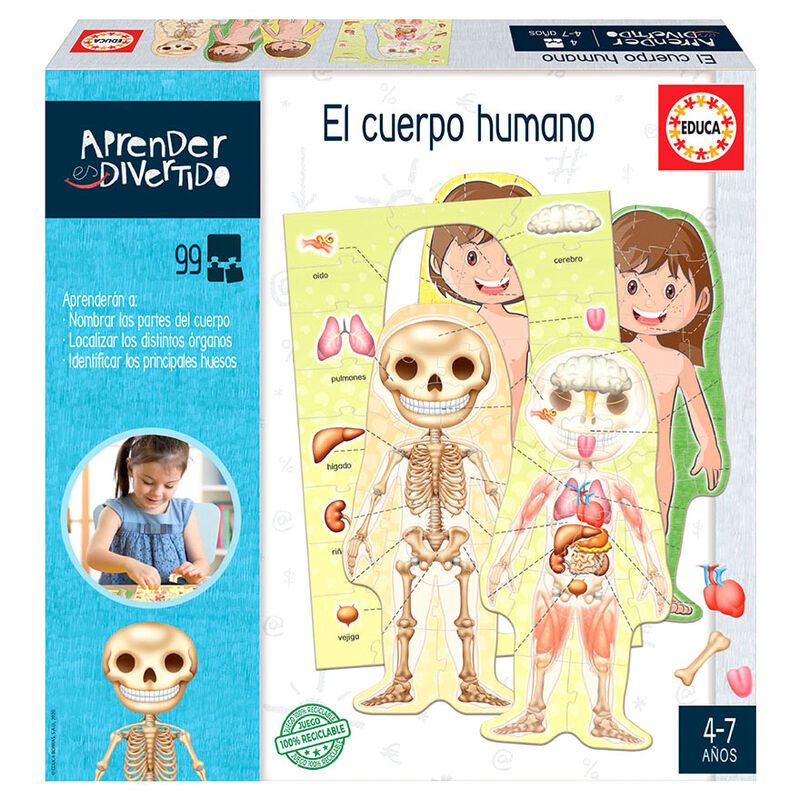 the human body (spanish)
