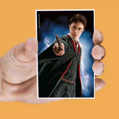 Set mit 4 Harry Potter Lentikularmagneten  sortiert