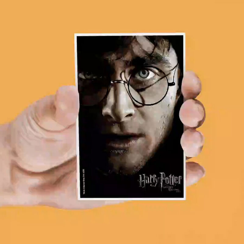 Set mit 4 Harry Potter Lentikularmagneten  sortiert