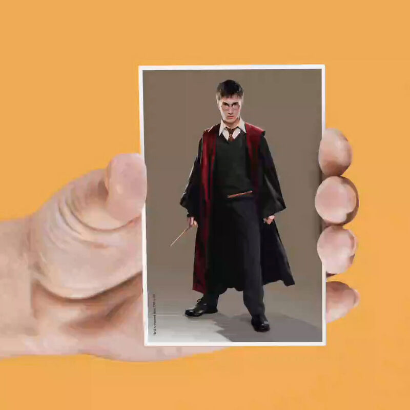 Set mit 4 Harry Potter Lentikularmagneten  sortiert