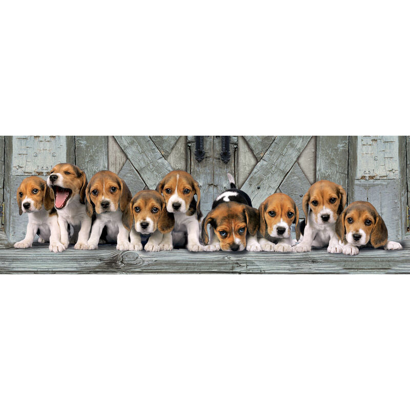 Puzzle Panorama Beagles 1000 elementów