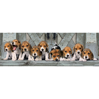Puzzle Panorama Beagles 1000 elementów
