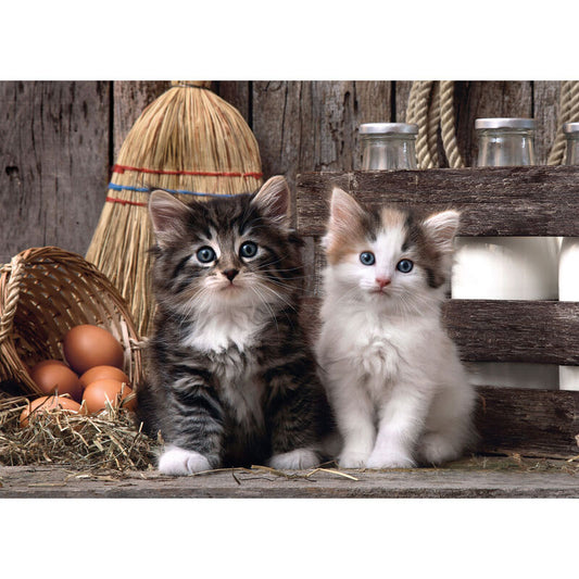 Lovely Kittens Puzzle 1000pcs