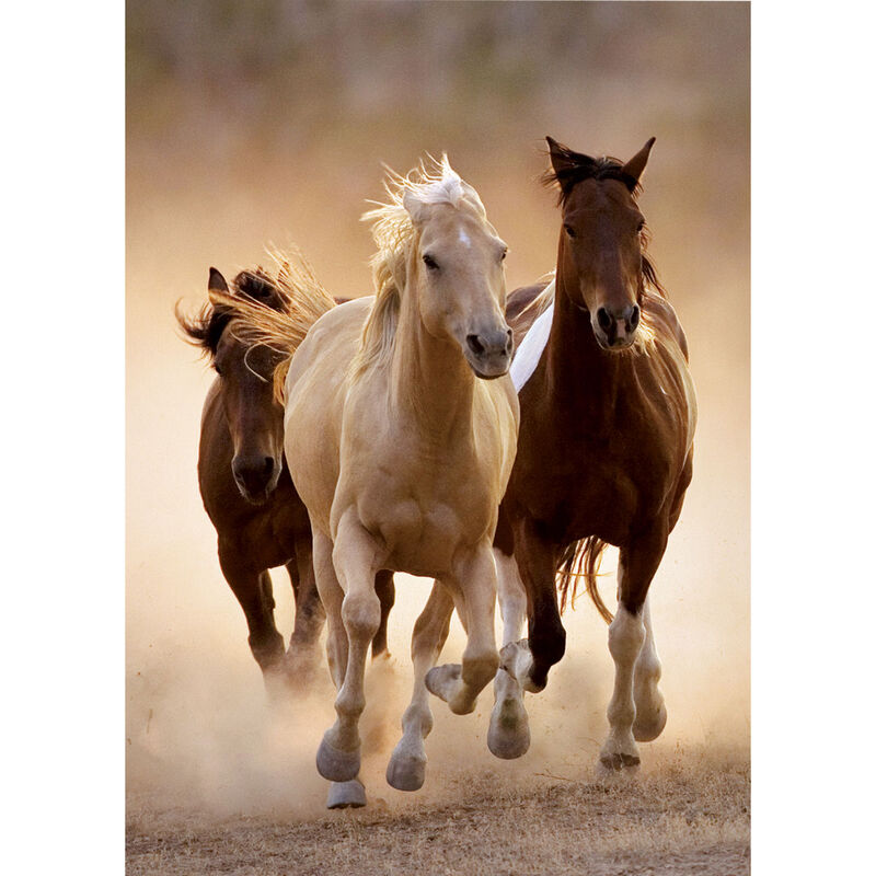Puzzle Running Horses 1000pcs