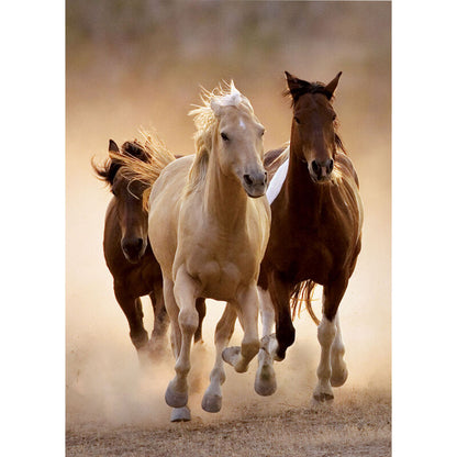 Puzzle Running Horses 1000pcs