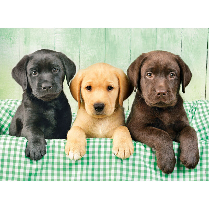 The Three Farmers Puzzle 1000pcs