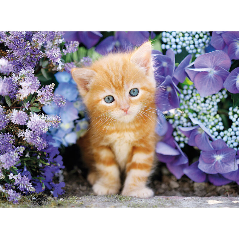 Puzzle Gatto biondo con fiori 500 pezzi