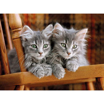 Kitten Puzzle 500pcs