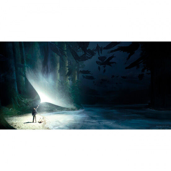 expecto patronum harry potter glass poster