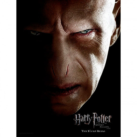 harry potter voldemort crystal poster