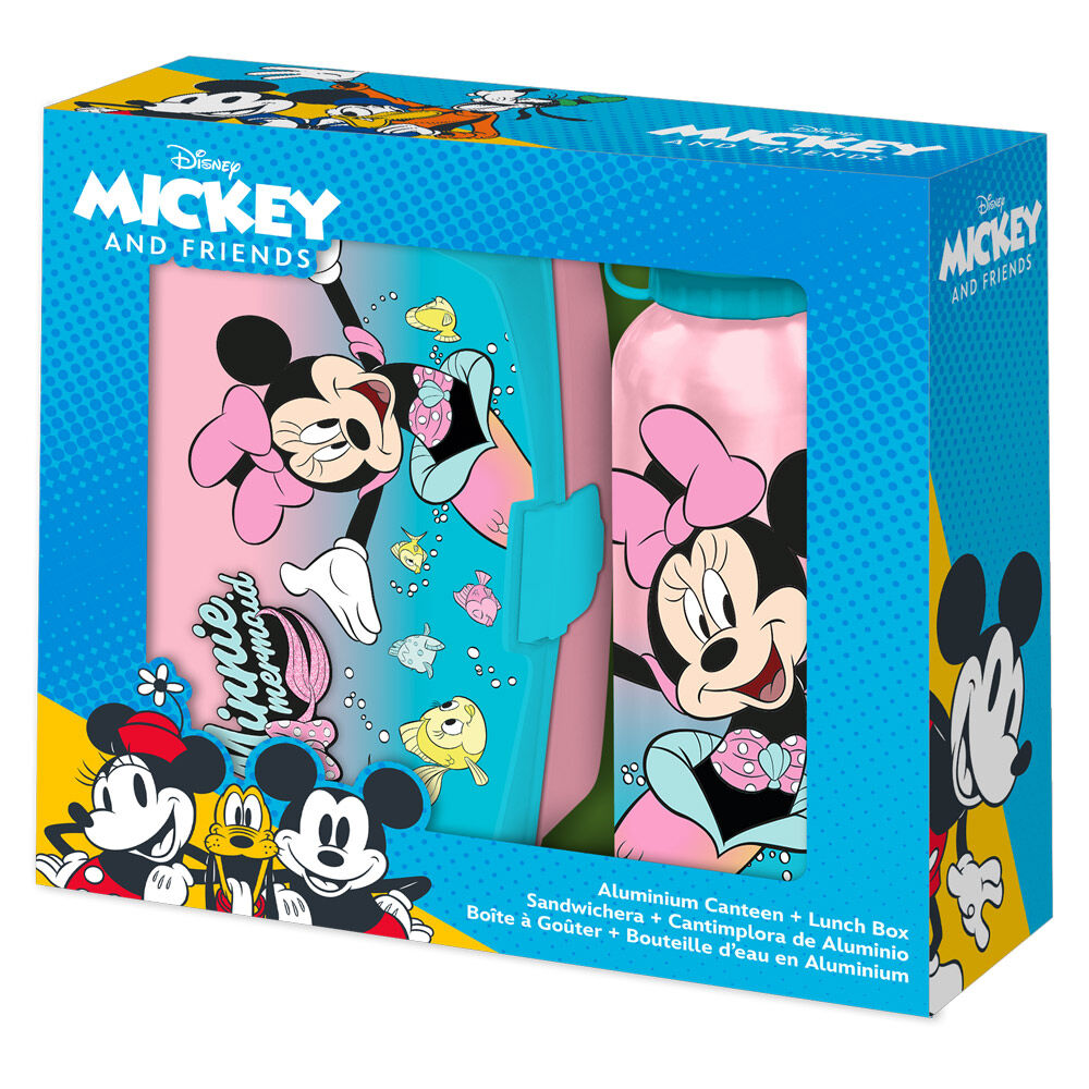 blister pack sandwich box  minnie mouse aluminum water bottle (500ml)