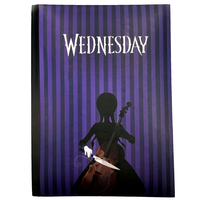 a5 notebook wednesday light