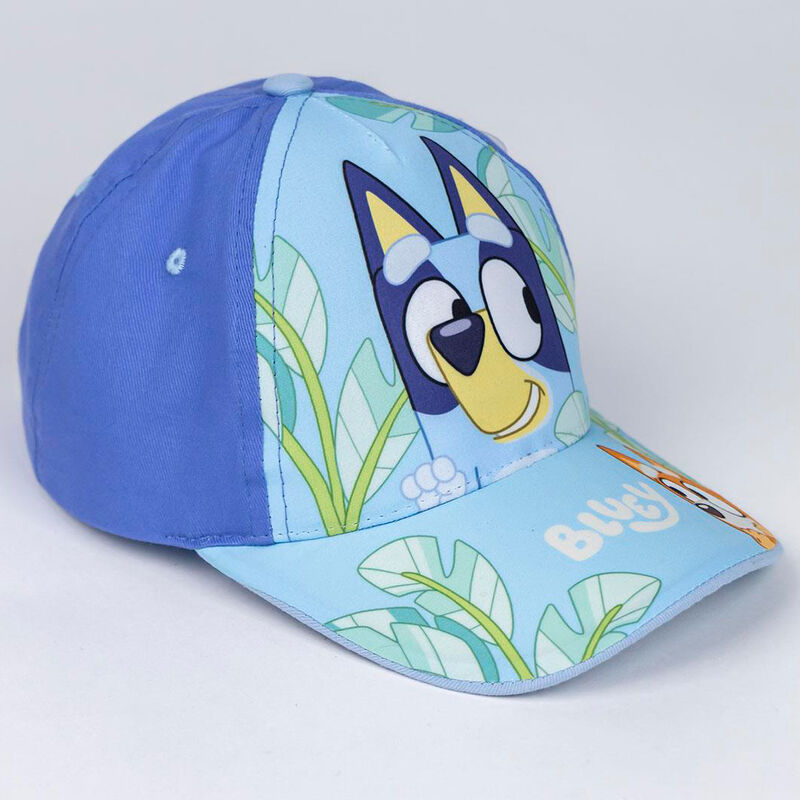 Bluey Cap Assortment