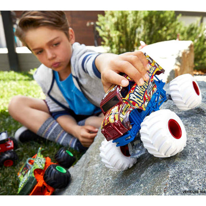 Hot Wheels Monster Trucks Assortment