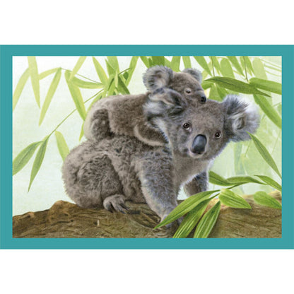 Puzzle Noli Baby Cuddles 12 16 20 24 pièces