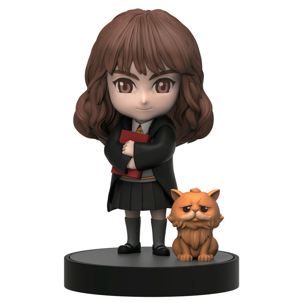 Hero Box Harry Potter Figurensortiment