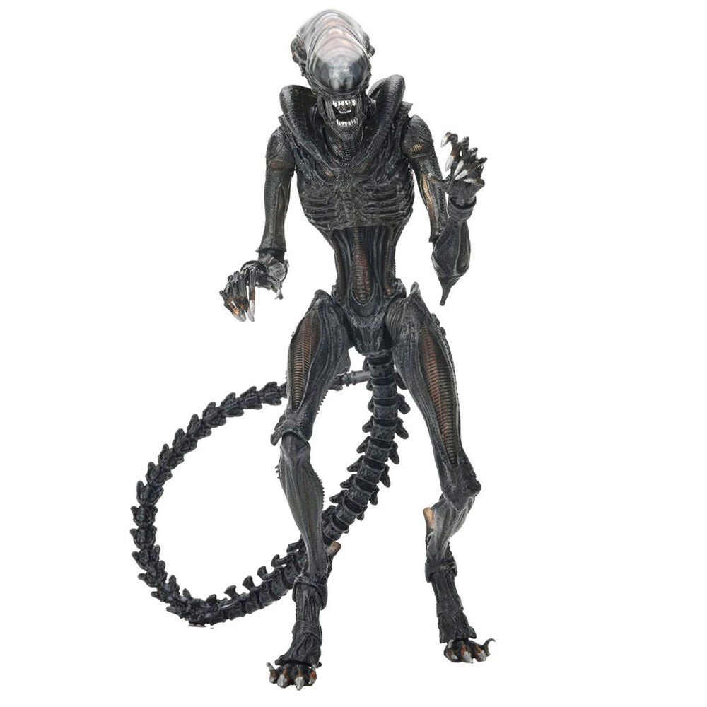 Figura definitiva del alienígena Romulus Xnomorph abrasado 23 cm