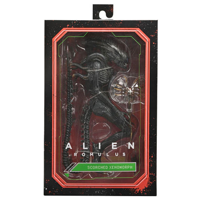 Figura definitiva del alienígena Romulus Xnomorph abrasado 23 cm