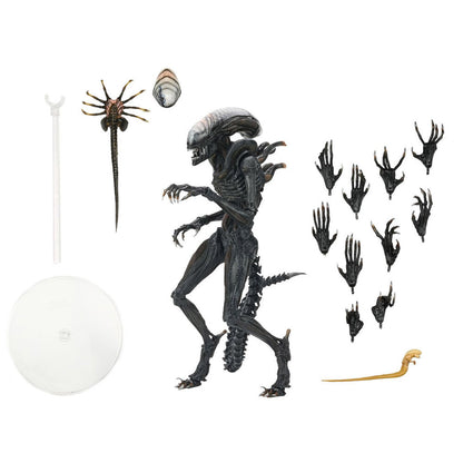 Figura definitiva del alienígena Romulus Xnomorph abrasado 23 cm