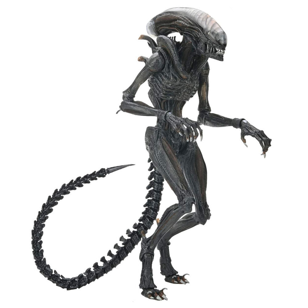 Figura definitiva del alienígena Romulus Xnomorph abrasado 23 cm