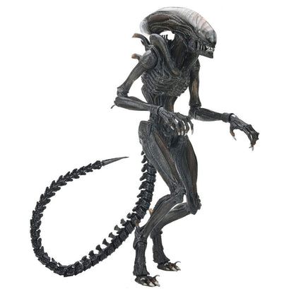Figura definitiva del alienígena Romulus Xnomorph abrasado 23 cm