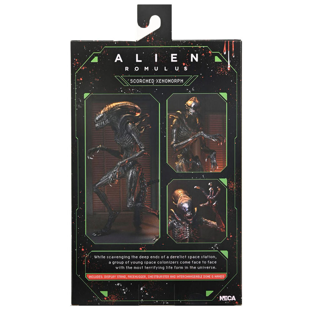 Figura definitiva del alienígena Romulus Xnomorph abrasado 23 cm