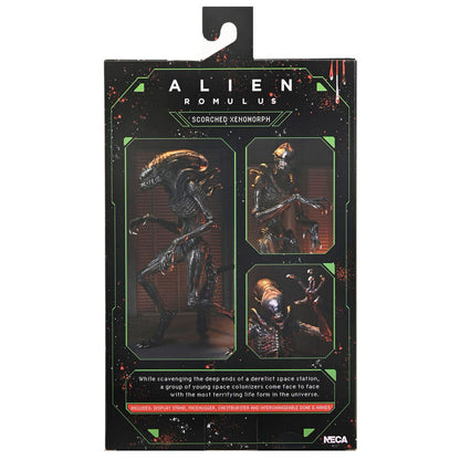 Figura definitiva del alienígena Romulus Xnomorph abrasado 23 cm