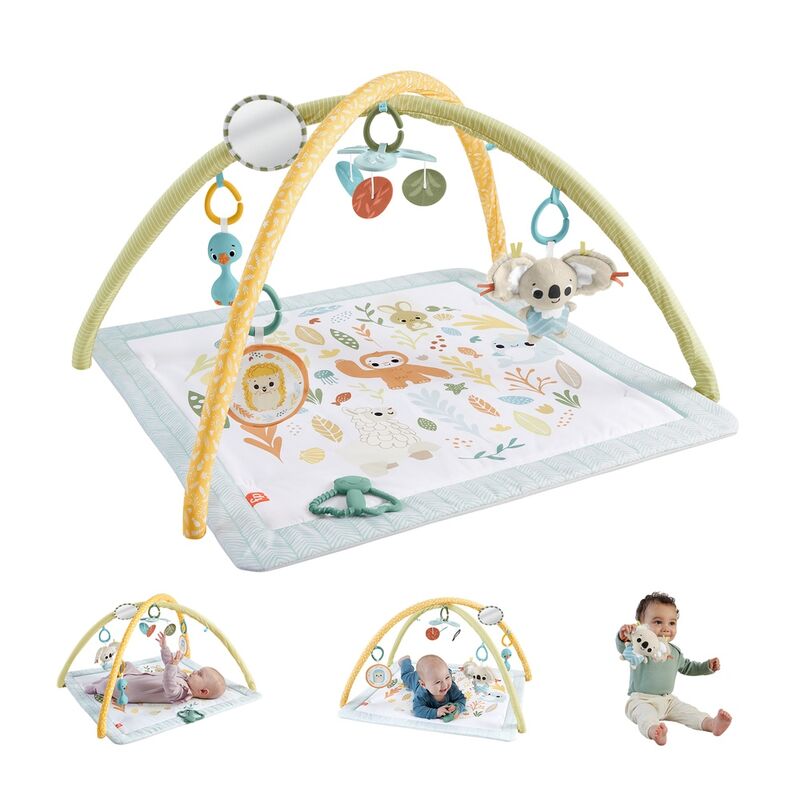 animal gym