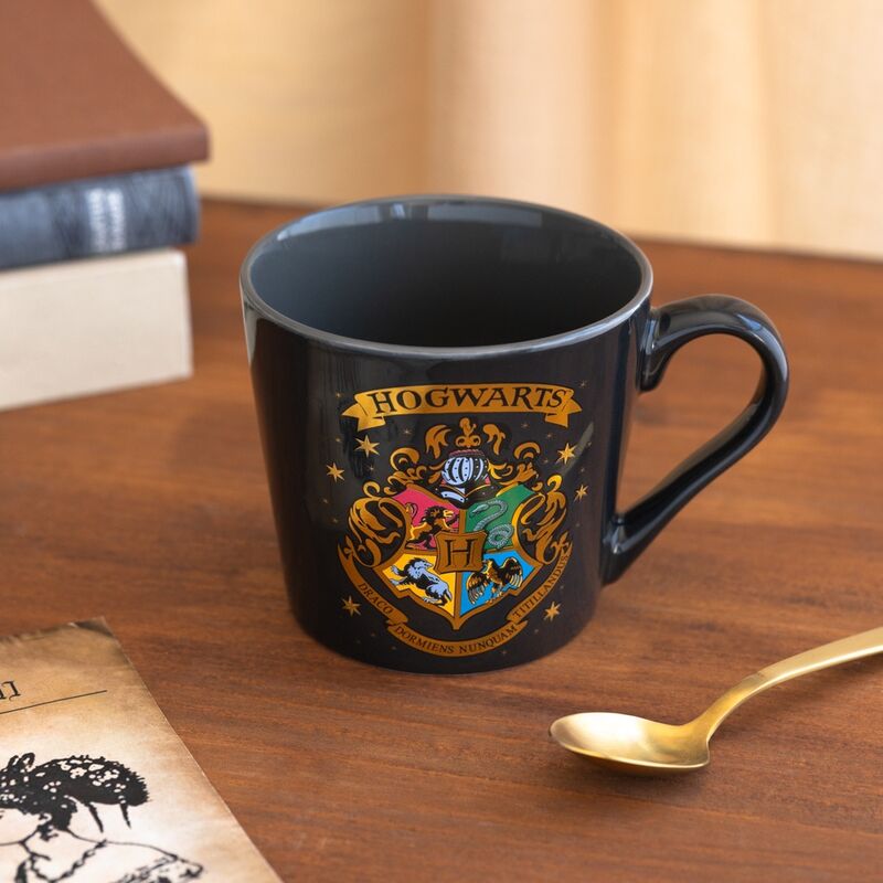 Hogwarts Harry Potter Premium Mug