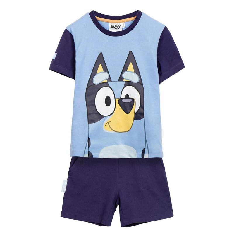 bluey set