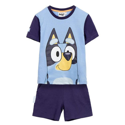 bluey set