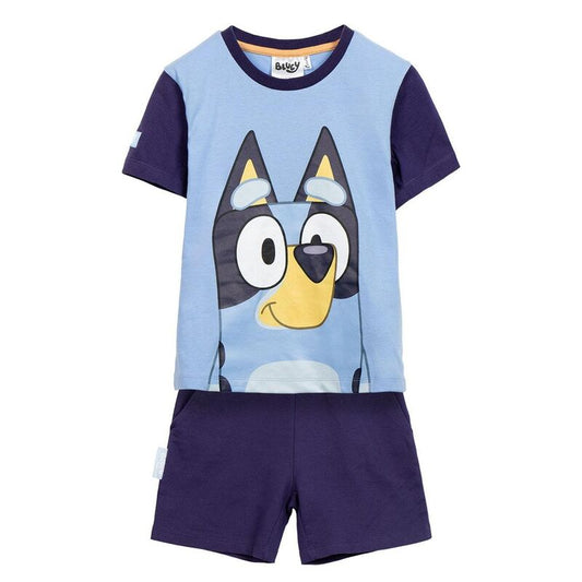 bluey set